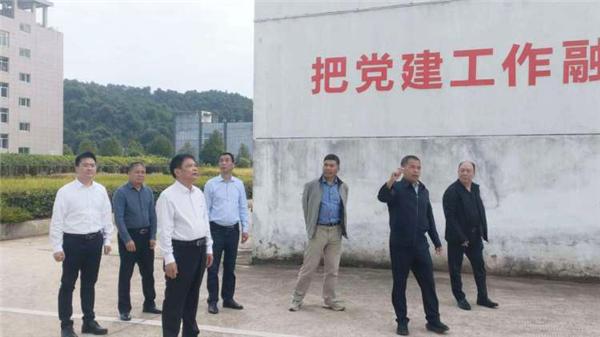 倪章益董事长一行赴乐鱼网页版登录入口农业科技有限公司视察指导